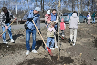 Никакой экзотики: Хабаровск делает ставку на местное озеленение Пресс-служба администрации Хабаровска
